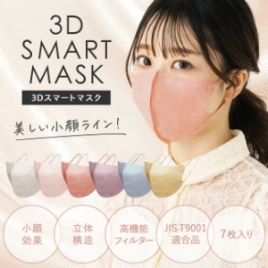 3Dマスク マスク 不織布 立体マスク バイカラーマスク 不織布マスク 28枚 不織布 血色マスク カラー マスク 立体 使い捨て