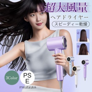 ヘアドライヤー ドライヤー  冷熱風 2400W 速乾 大風量 恒温ヘアケア 3段階調整 時短 超軽量 持ち運び スピーディー 美