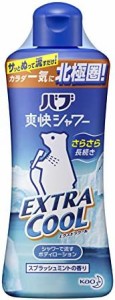 バブ 爽快シャワー エクストラクール 250ml