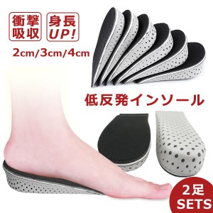 【2足セット】インソール シークレット メンズ レディース エアインソール エアキャップ 中敷き ヒールアップ 衝撃 吸収 ブーツ スニーカ