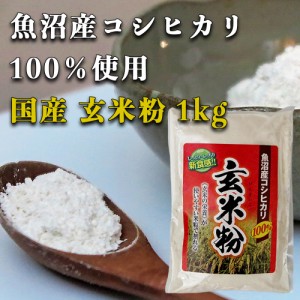 魚沼産コシヒカリ 玄米粉 1kg グルテンフリー 国産 お菓子材料 ケーキ パン 材料 小麦不使用