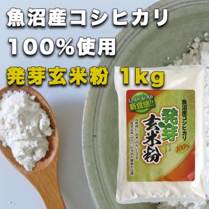 魚沼産コシヒカリ 発芽玄米粉 1kg グルテンフリー 国産 お菓子材料 ケーキ パン 材料 小麦不使用 健康食材 無添加