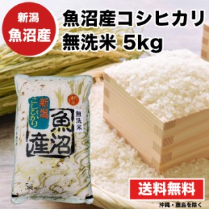 【送料無料】 魚沼産コシヒカリ 無洗米 5kg 米【魚沼産コシヒカリ 令和4年産 無洗米 5kg】 お米 新潟県 こしひかり 訳あり 2等米 産地直