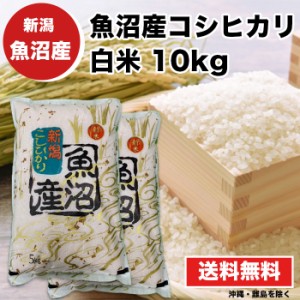 魚沼産コシヒカリ 10kg 5kg×2 白米 令和4年産 送料無料 新潟県 お米 最安値