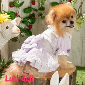 LULUDOLL【ルルドール】ゆめかわシフォンガール 3S,SSサイズ 犬 服 犬服 女の子 超小型犬用