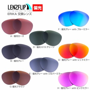 レイバン エリカ rayban RayBan 替えレンズ Ray-Ban ERIKA RB4171 交換レンズ 偏光 定番カラー G15 レンズ  フィット保証　LenzFlip オリ