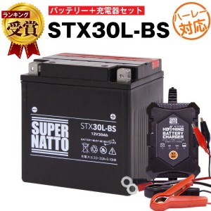 バイクバッテリー充電器+ハーレーSTX30L-BS セット■バイクバッテリー■66010-97B 66010-97C 66010-97A互換■12V/6V切替 星乃充電器・ス