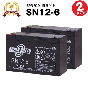 【在庫あり・即納】SN12-6【お得！2個セット】■純正品と完全互換【安心の動作確認済み製品】■NP12-6, LC-R0612P対応■子供用電動乗用お