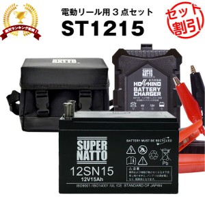 電動リール バッテリー■バッテリー（12V15Ah）ダイワ シマノ マリンパワー など対応＋充電器＋防水キャリーケース セット■■スーパーナ