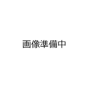 スズキ純正 長寿命LLC スーパーロングライフクーラント 2L ブルー 50%希釈タイプ 新エコパック