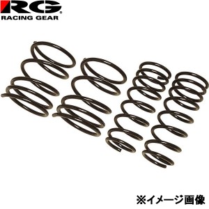 RG ホンダ ステップワゴン RK1/RK5用 ダウンサス レーシングギア LOWFORM REVOLUTION SH044A