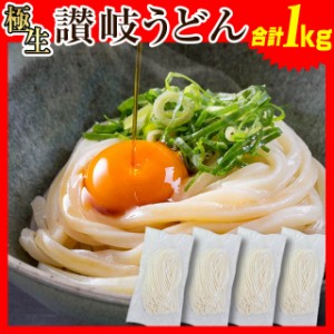 送料無料　大容量1kg 本場 【生麺 讃岐うどん 8〜10人前 つゆ無セット】