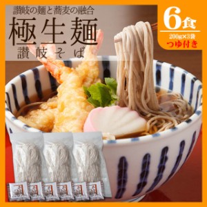 送料無料 【生麺 讃岐の蕎麦  鎌田醤油のつゆ付セット 6人前】600ｇ ちょっと太めの新感覚麺！   年越し蕎麦　年越しそば