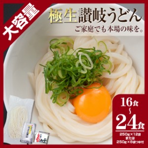 大容量セット【本場 生麺 讃岐うどん 並切麺】（ゆうパック配送）