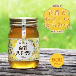 花の香りがするやさしいはちみつ 500g 無添加 国産純粋はちみつ 送料無料 日本製 国産はちみつ 国産蜂蜜 国産ハチミツ 家庭用 自宅用