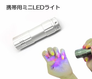 携帯用ミニLEDライト0.9W【定形外ＯＫ】 もれなくプレゼント♪