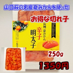 長州夏みかん辛子明太子切れ子　250g