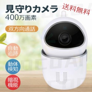 見守りカメラ 防犯 ペット 監視 室内 家庭用 AI カメラ 200万画素 WiFi 2.4G 32G 自動追尾 暗視モード 遠隔監視 介護 子供 対策 録画