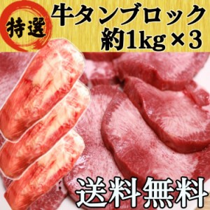 牛タン 牛たん 仙台 ブロック 3kg 大容量 たっぷり 送料無料 (タン先あり) キャンプ お歳暮