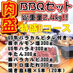 肉盛！特盛りBコース！総重量2.4kg 約8人前 (US牛バラカルビ,豚ホルモン塩,US牛ハラミ,牛たん,豚バラカルビ,豚トロ塩だれ,焼き鳥4種×5本