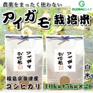 会津 合鴨農法 コシヒカリ 10kg 白米 令和4年産 新米 こしひかり 福島 お米 あいがも 送料無料 無農薬