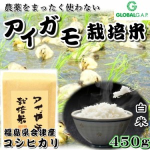 会津 合鴨農法 コシヒカリ 450g 白米 令和4年産 新米 こしひかり 福島 お米 あいがも 送料無料 無農薬 お試しサイズ