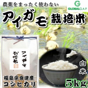 会津 合鴨農法 コシヒカリ 5kg 白米 令和4年度産 新米 福島 こしひかり お米 あいがも 送料無料 無農薬