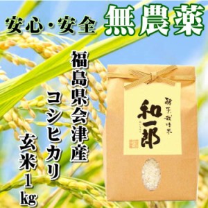 会津 酵素栽培米 コシヒカリ 1kg 和一郎 玄米 令和3年産 新米 こしひかり 福島 お米 送料無料 減農薬 栄養豊富