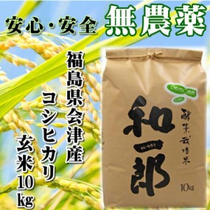 会津 酵素栽培米 コシヒカリ 10kg 和一郎 玄米 令和3年産 新米 こしひかり 福島 お米 送料無料 減農薬 栄養豊富