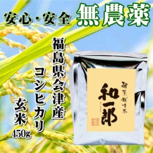 会津 酵素栽培米 コシヒカリ 450g 和一郎 玄米 令和3年産 新米 福島 お米 送料無料 減農薬 栄養豊富