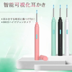 ポイント5倍！耳かき カメラ 超小型レンズ 高画質 防水 耳掃除 高性能 iPhone iOS iPad 送料無料 スマート耳かき 見える耳かき ライト 介