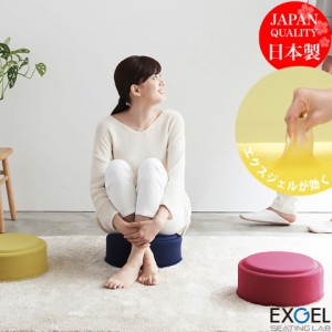 エクスジェル メーカー公式 EXGEL 床プニ PUN30 クッション 日本製 ジェルクッション 床 腰 姿勢 腰痛 体圧分散 骨盤 座布団 こたつ プレ