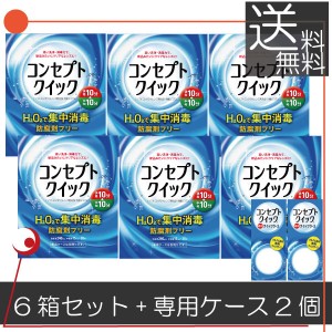 コンセプトクイック6ヶ月パック、専用ケース×2 ソフトコンタクト用洗浄液　送料無料