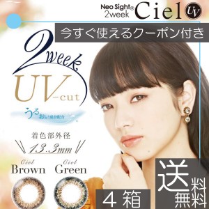 アイレ ネオサイト2ウィークシエルUV(6枚入り) ×4箱 カラコン カラーコンタクト Aire Neosight2weekCielUV　送料無料