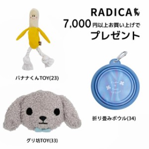 【合計7,000円以上の商品と一緒にカートに入れれば1円でプレゼント】RADICA 選べるプレゼント※必ずカートにお入れください。 メール便不