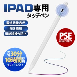 【タイムセール、10倍ポイント】タッチペン iPad ペンシル スタイラスペン 極細ペン先 Type-c充電 iPad Air5 mini6 Air4 iPad 