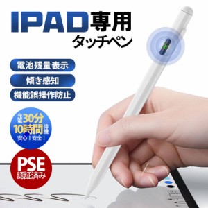 【タイムセール、10倍ポイント】タッチペン iPad ペンシル スタイラスペン 極細ペン先 Type-c充電 iPad Air5 mini6 Air4 iPad 