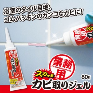 カビ取り剤 業務用スカッとカビ取りジェル 徳用