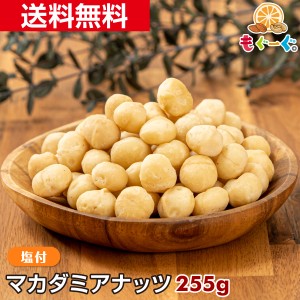 友口 魅惑のマカダミアナッツ(塩付き)255g(255g×1袋) 木の実 塩付き ロカボ メール便 ゆうパケット 送料無料 アルミ袋 チャック 工場直