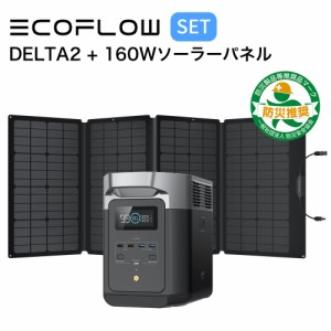 ポータブル電源 ソーラーパネル セット EcoFlow DELTA 2 1024Wh + 160W ソーラーチャージャー 蓄電池 発電機 バッテリー 太陽光パネル 太