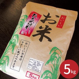 宮城県大崎産 ひとめぼれ (５ｋｇ) (※メーカー直送品) ギフト プレゼント お返し