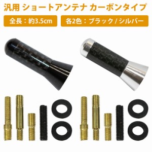 [全長3.5cm/35mm] ショートアンテナ 変換アダプタ4種付 国産 外車 汎用 カーボン調 ルーフ アンテナ アルミ製 カラー全2色 黒/銀