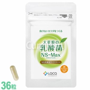 大草原の乳酸菌 NS-Max 36粒 NS乳酸菌 エヌエス・マックス サプリメント モンゴル 乳酸菌 ロイテリ菌 善玉菌 共生性乳酸菌 乳酸桿菌 ラク