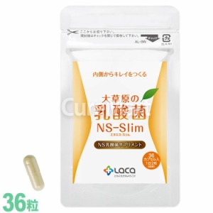 大草原の乳酸菌 NS-Slim 36粒 NS乳酸菌 エヌエス・スリム サプリメント モンゴル 乳酸菌 ダイエット 善玉菌 共生性乳酸菌 乳酸桿菌 ラク