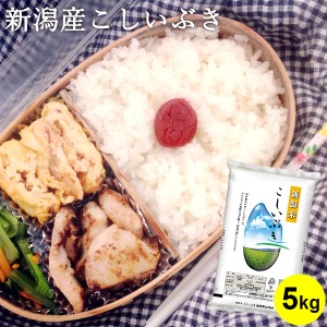 新潟産こしいぶき 5kg ｜ お米 5kg 送料無料 新潟 お弁当 おにぎり ギフト 内祝い お返し お祝い 贈答品 贈り物 プレゼント 賞品 景品 お