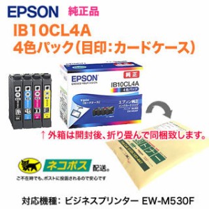 【送料無料】EPSON／エプソン 純正インクカートリッジ IB10CL4A （目印：カードケース） 4色パック 純正品 ※代引決済不可※
