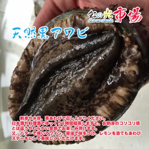 国産 特大 天然 活 黒アワビ １個約400~450g アワビ あわび バーベキュー 貝