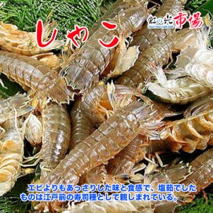 エビよりもあっさりした味と食感で、塩茹でしたものは江戸前の寿司種として親しまれている。シャコ １kg（約20〜30匹）北海道