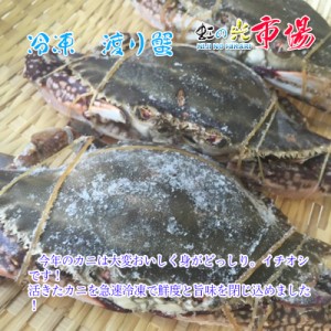 鍋やお味噌汁の定番ガニです！ お歳暮) 冷凍ワタリガニ 5kg (1尾約２５０g) 渡り蟹 カニ 蟹