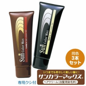 【3個セット】 ケンコー サンカラーマックス 白髪染め ヘアクリーム 75g×2 専用くし付き ヘアカラー 男女兼用 メンズ レディース ブラッ